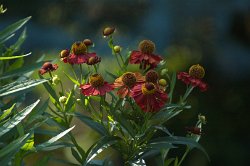 25 16-Aug-13 16-21-57 D70 002